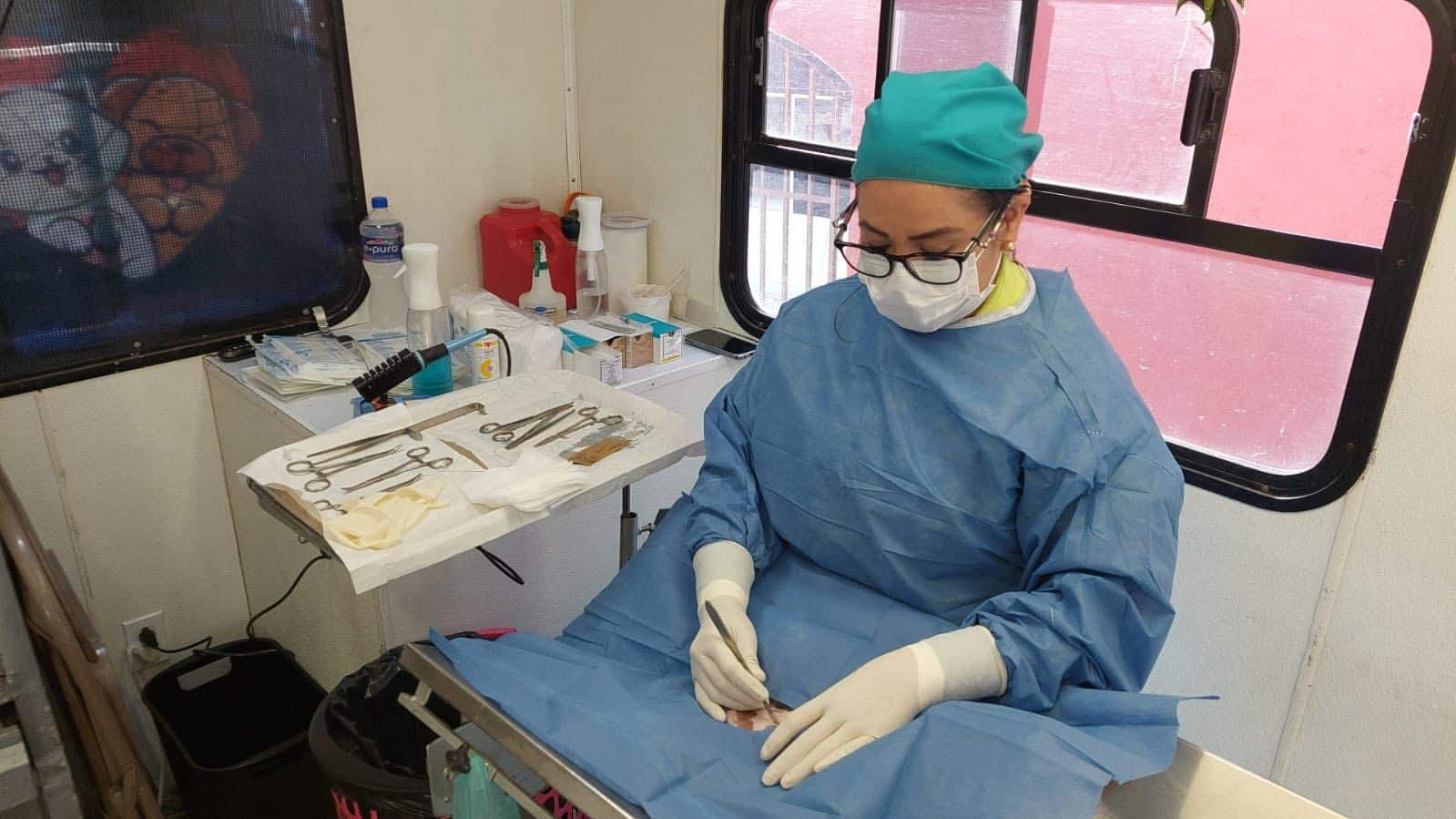 esterilización peñasco gobierno municipal slp