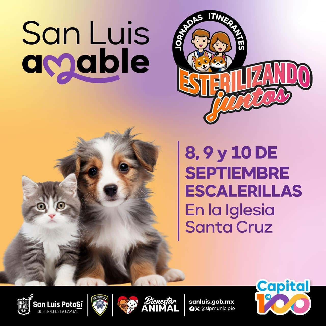 esterilizar escalerillas