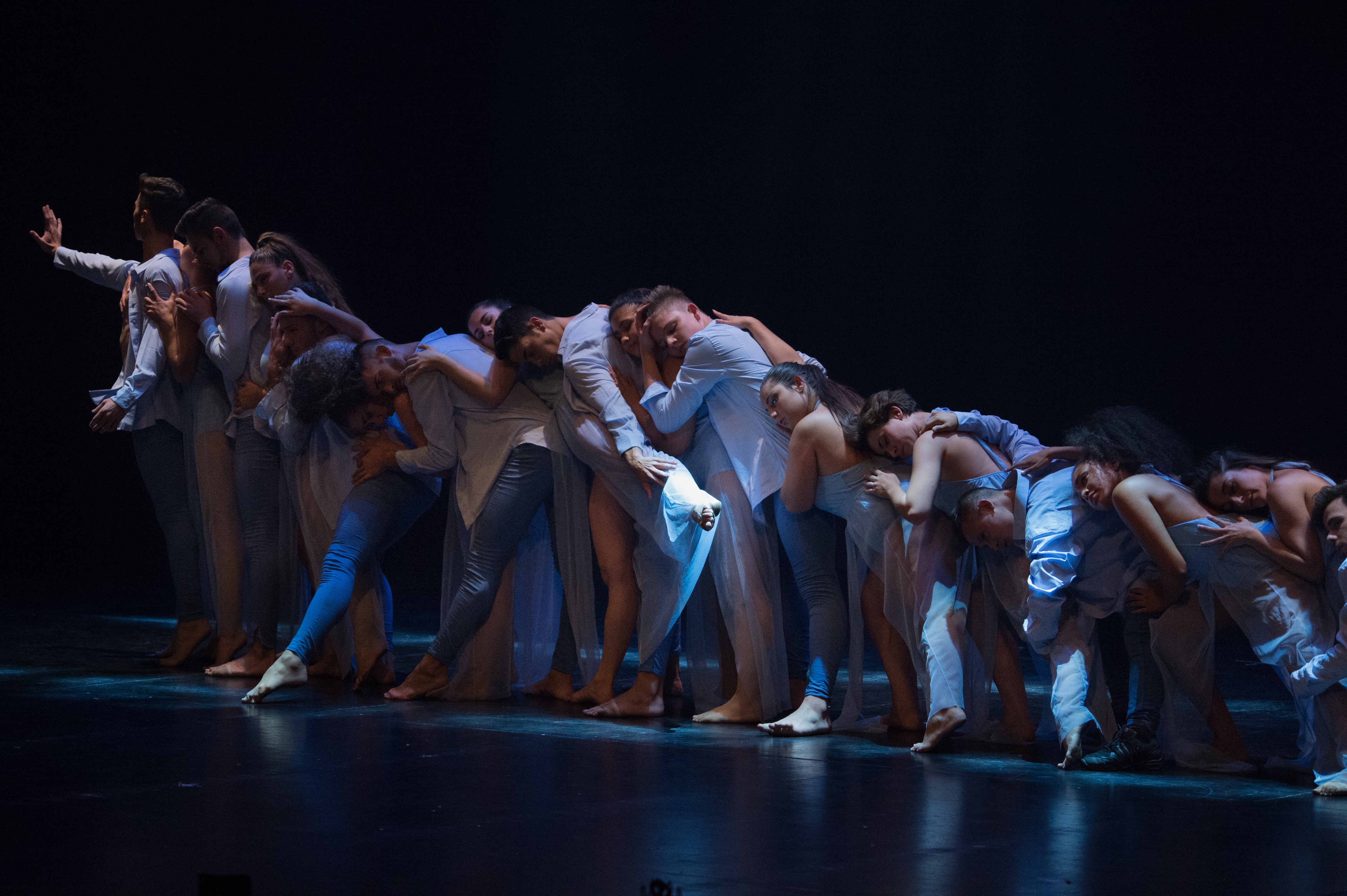 Danza contemporánea: el arte de contar historias con movimiento