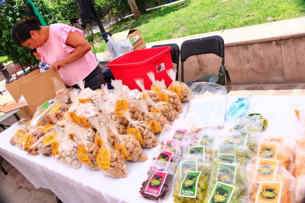 expo villa de pozos revolución mexicana