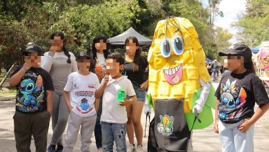 feria municipal del elote slp gobierno municipal