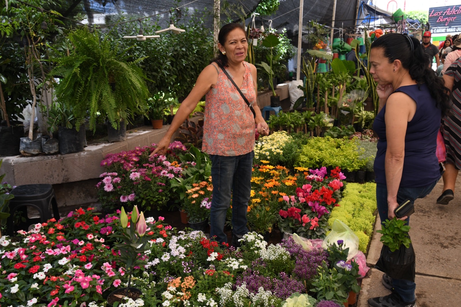 feria de las flores soledad