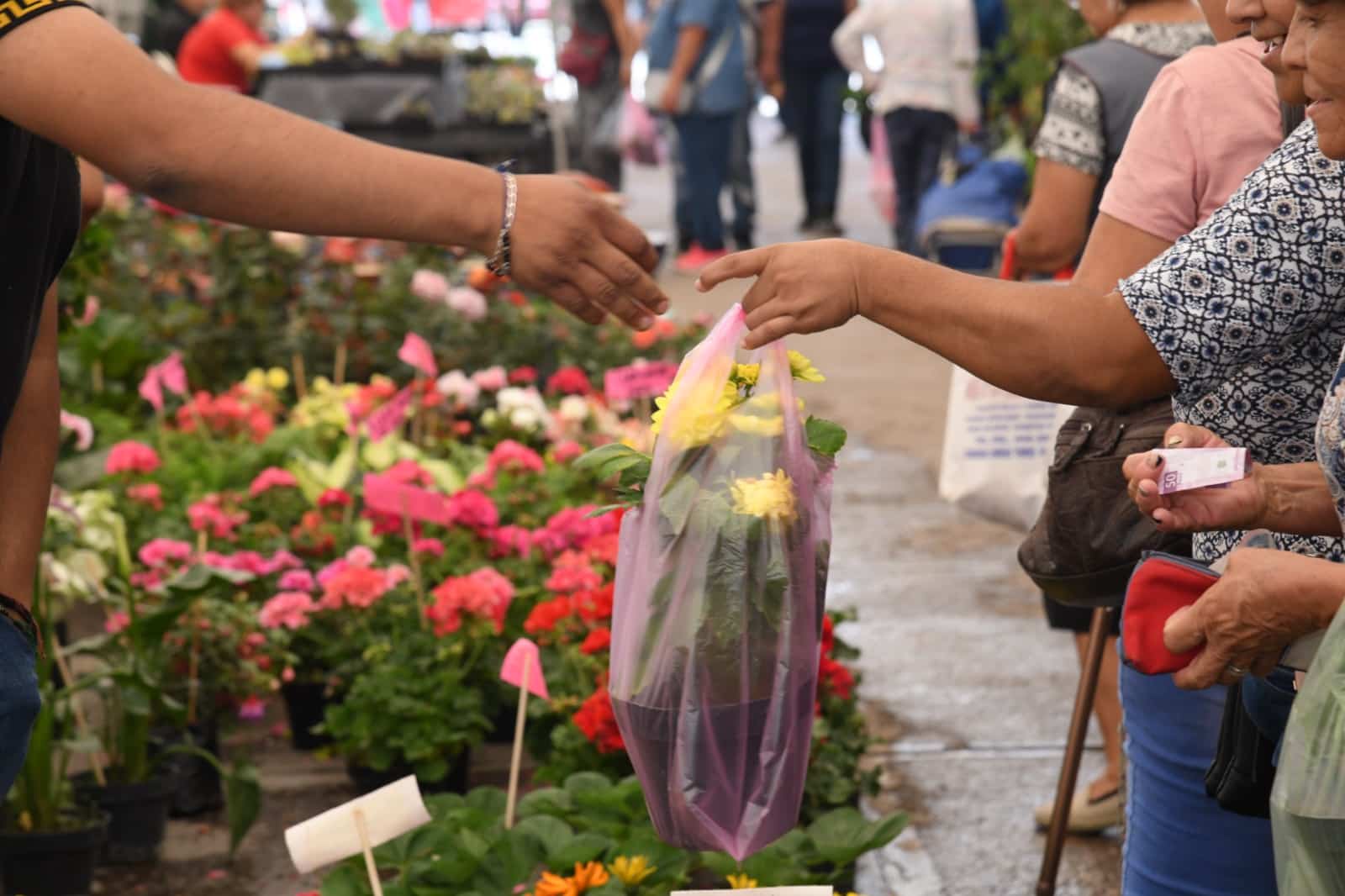 feria de las flores soledad