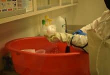 servicios sanitarios analisis
