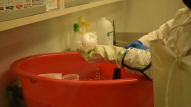 servicios sanitarios analisis
