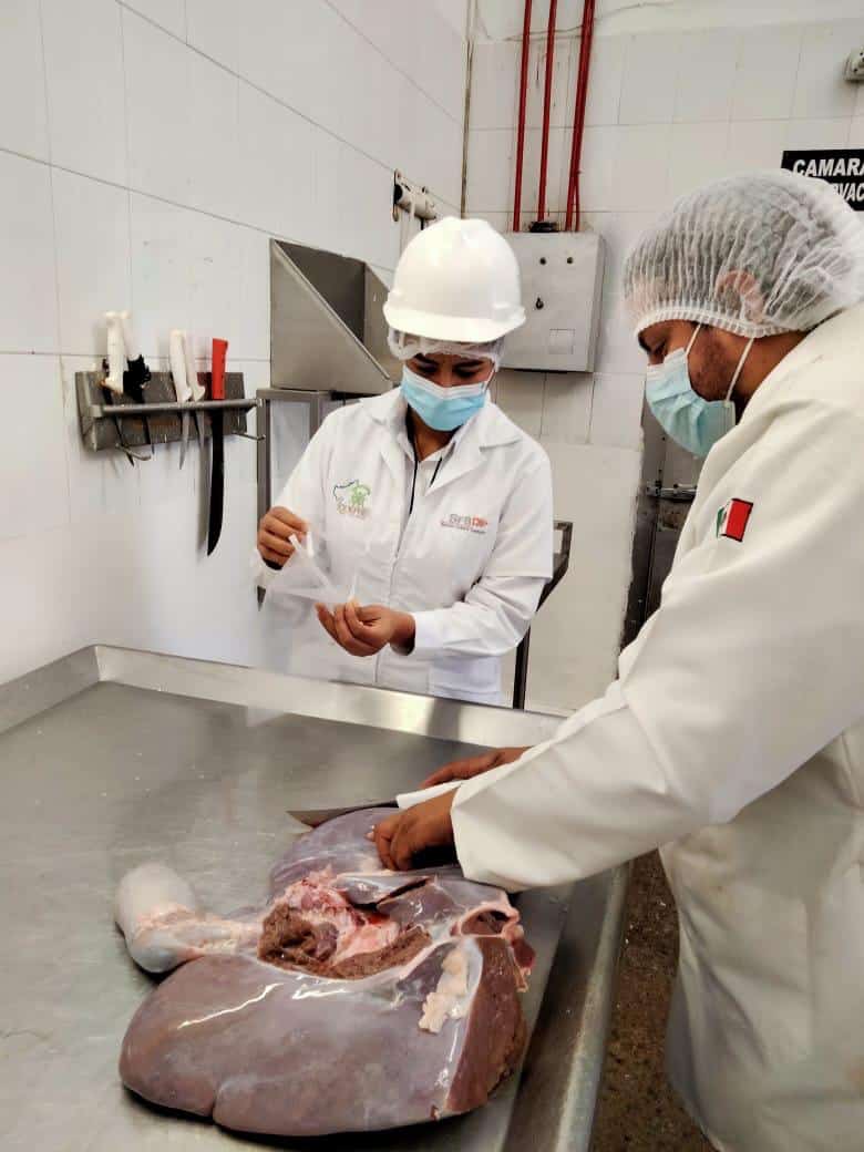 día de la alimentación