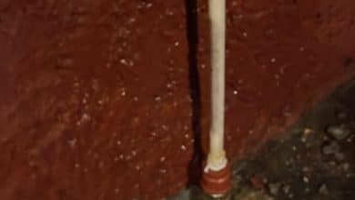 interapas fuga independencia