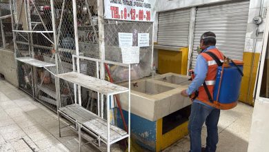 fumigacion mercados