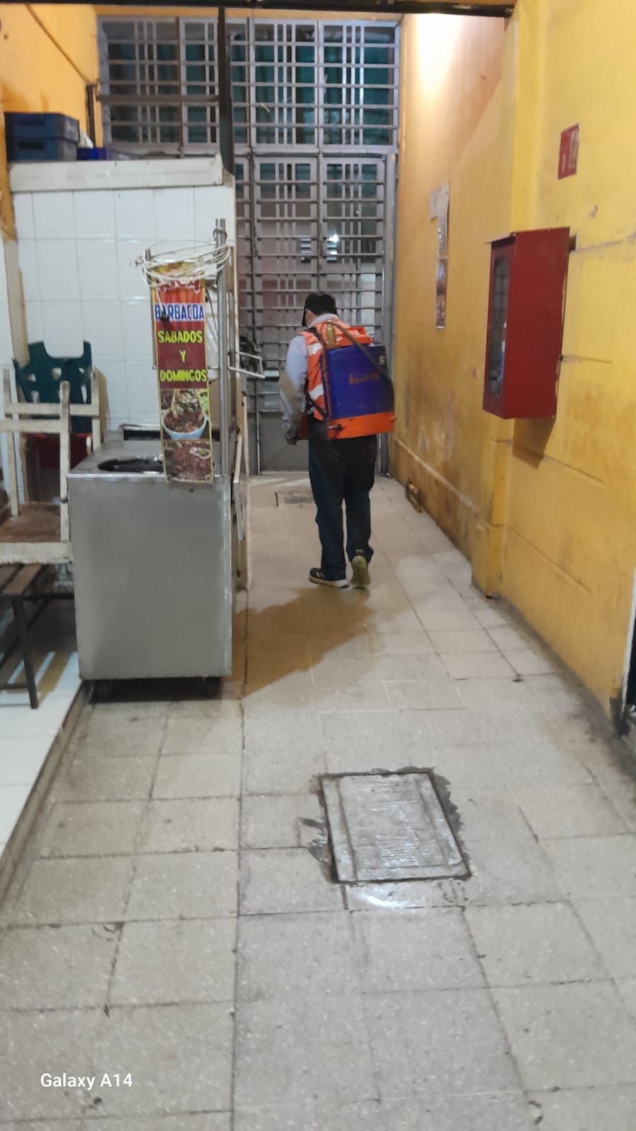 fumigacion mercados