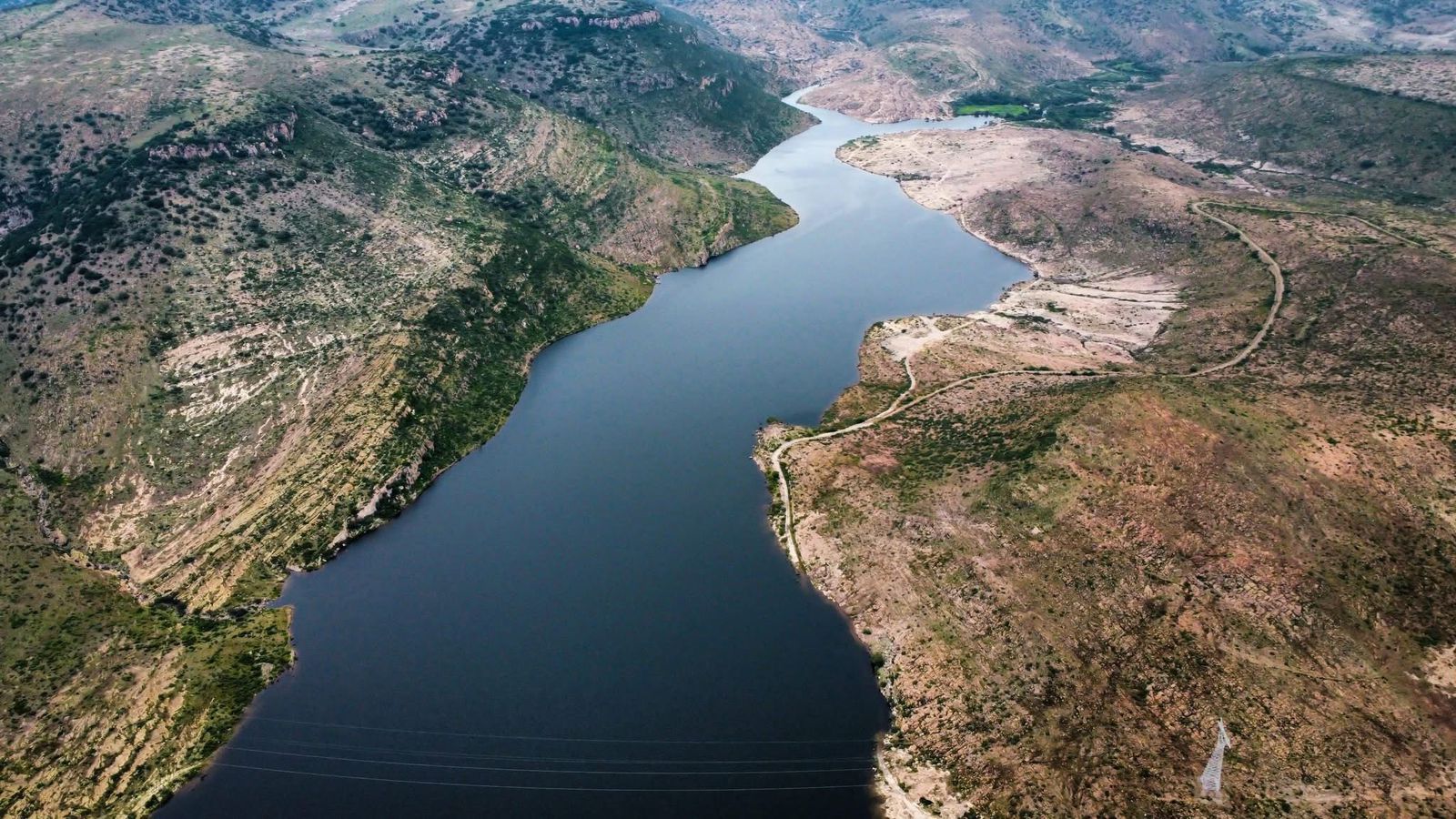 ricardo gallardo gobierno del estado slp