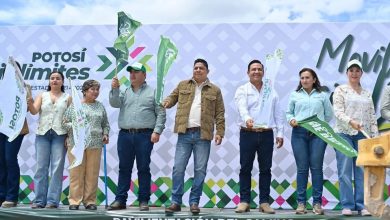 ricardo gallardo obras slp