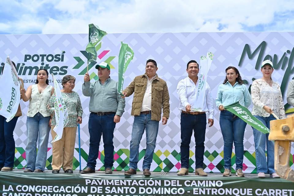 ricardo gallardo obras slp