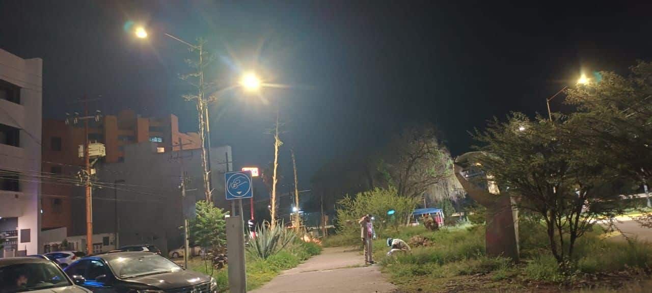 avenida goytortua