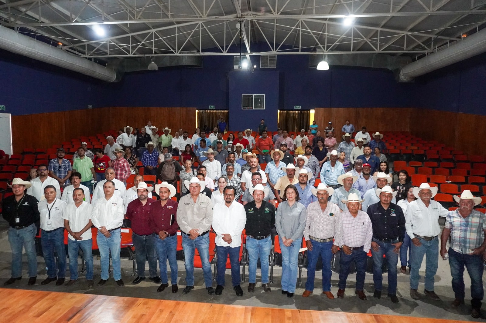 gusano barrenador sedarh