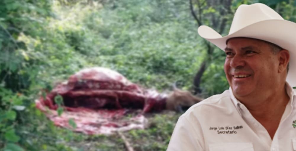 huasteca jorge luis díaz salinas