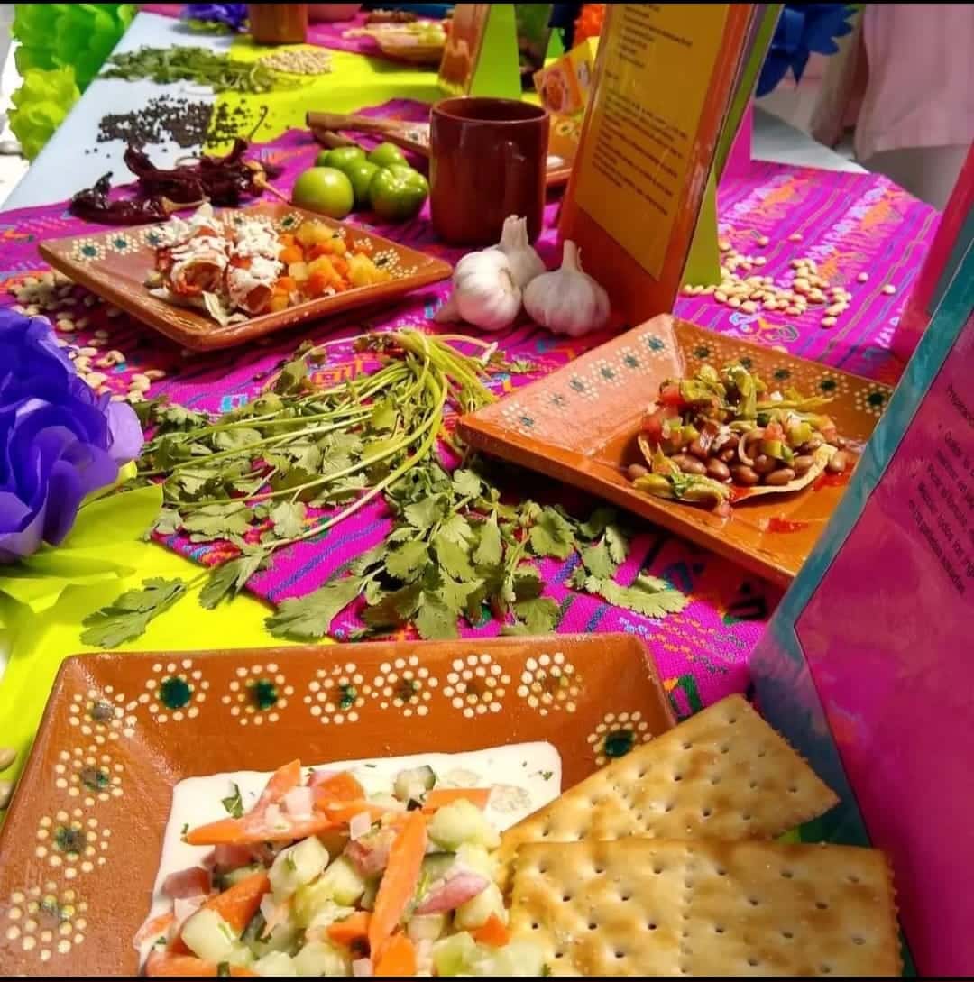 IMSS Salud Vida Sana