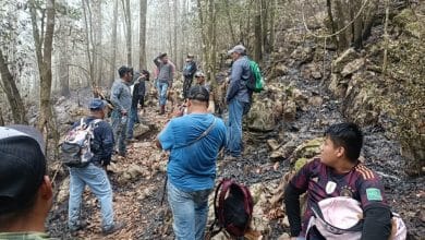 incendio xilitla