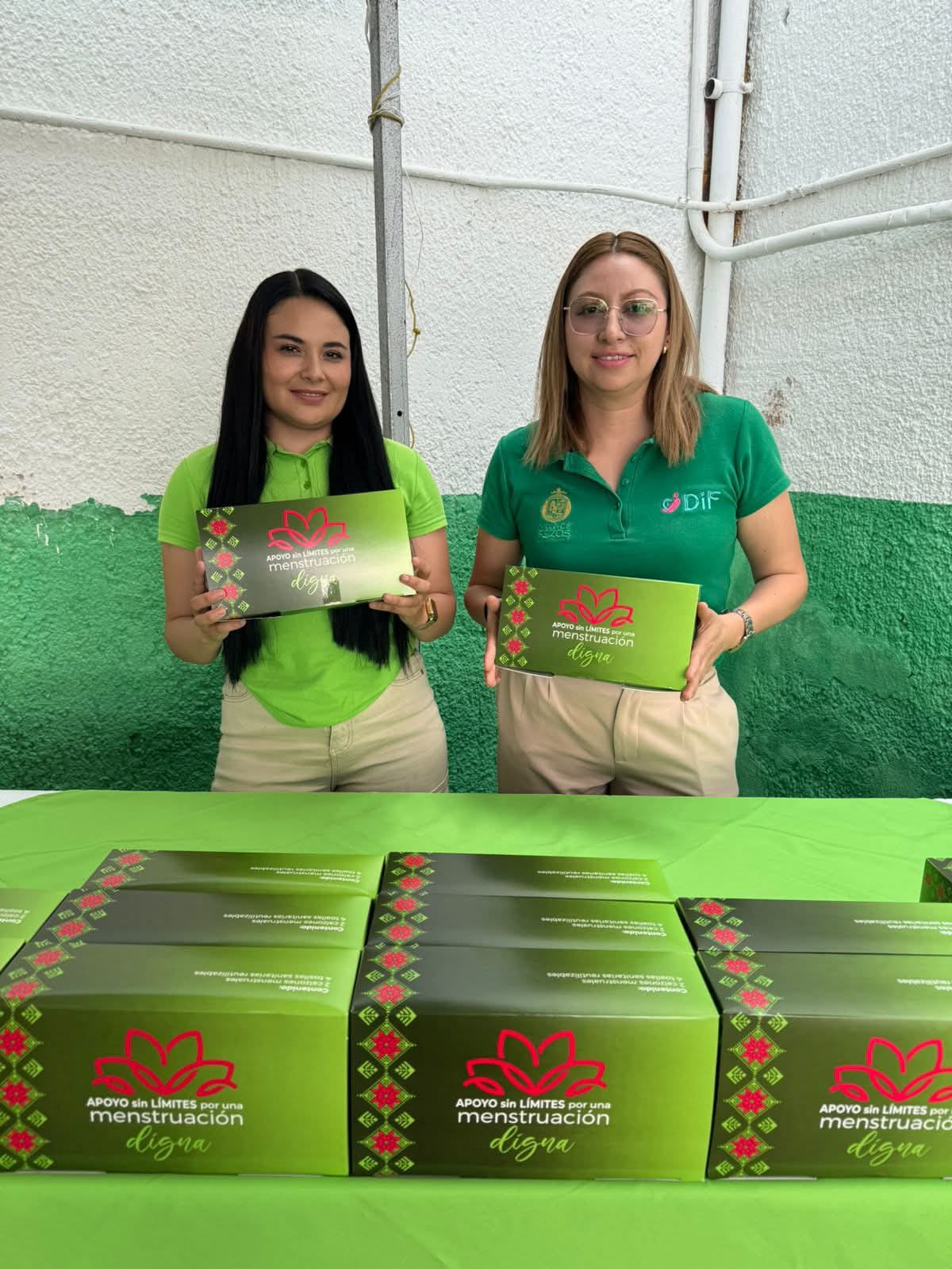 insumos menstruales pozos