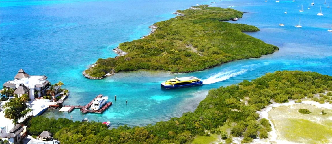 isla tiburon