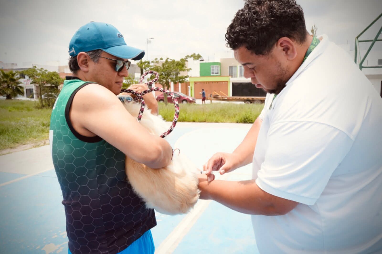 jornada vacunación antirrábica villa de pozos