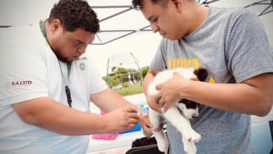 jornada vacunación antirrábica villa de pozos