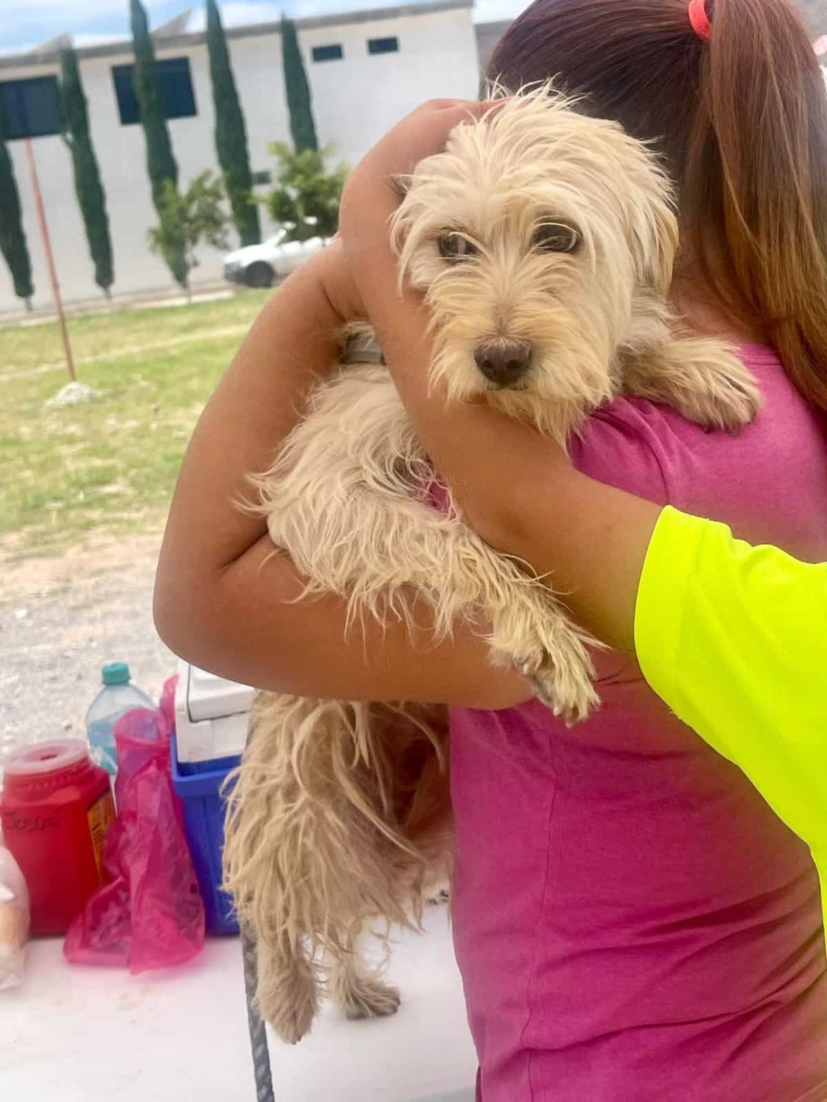 jornada vacunación antirrábica villa de pozos