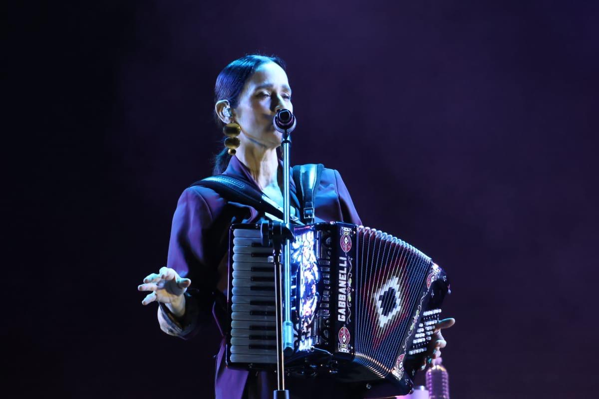julieta venegas