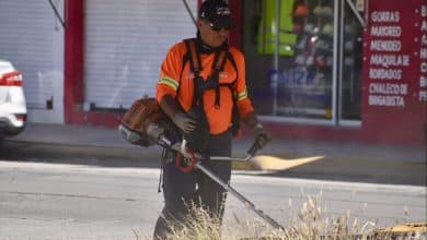 labores xicotencatl gobierno municipal slp