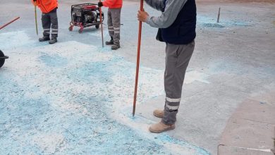 lago de patos alameda gobierno municipal slp