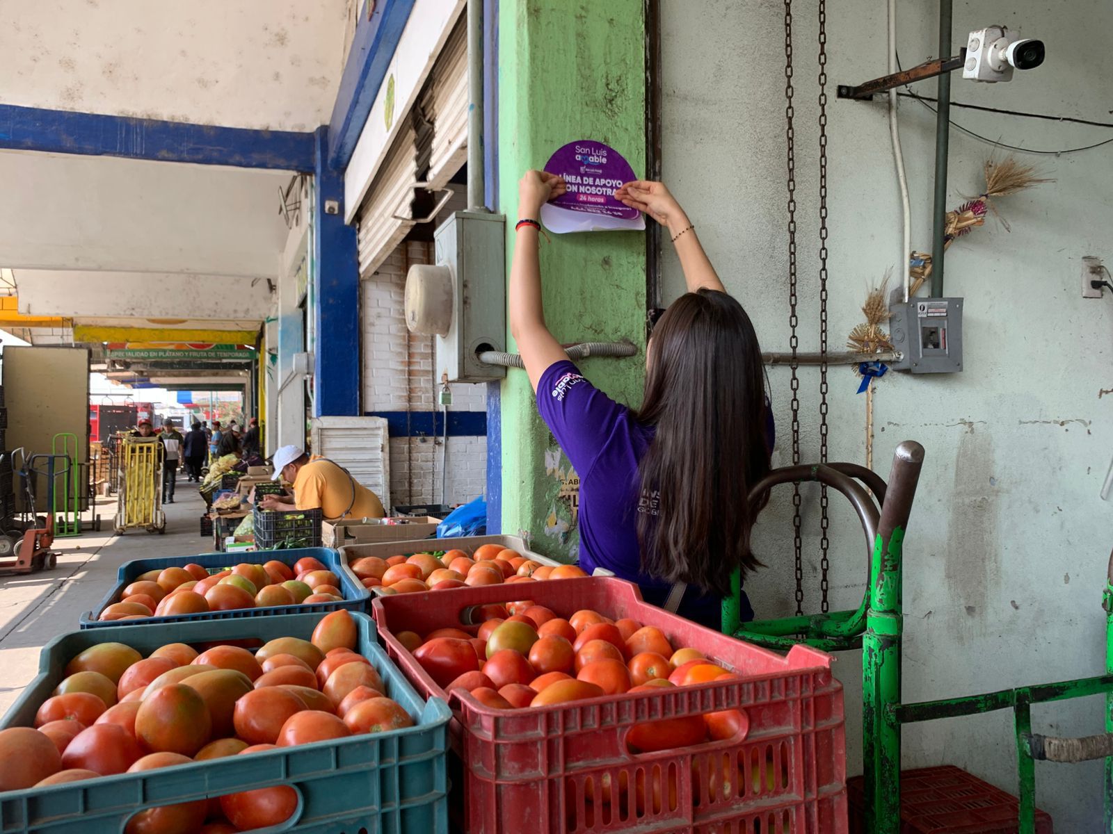 línea de abasto gobierno municipal slp