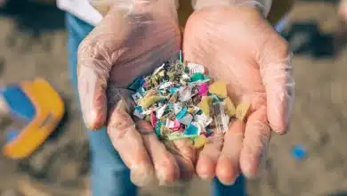 Microplásticos, una bomba de tiempo contra la salud