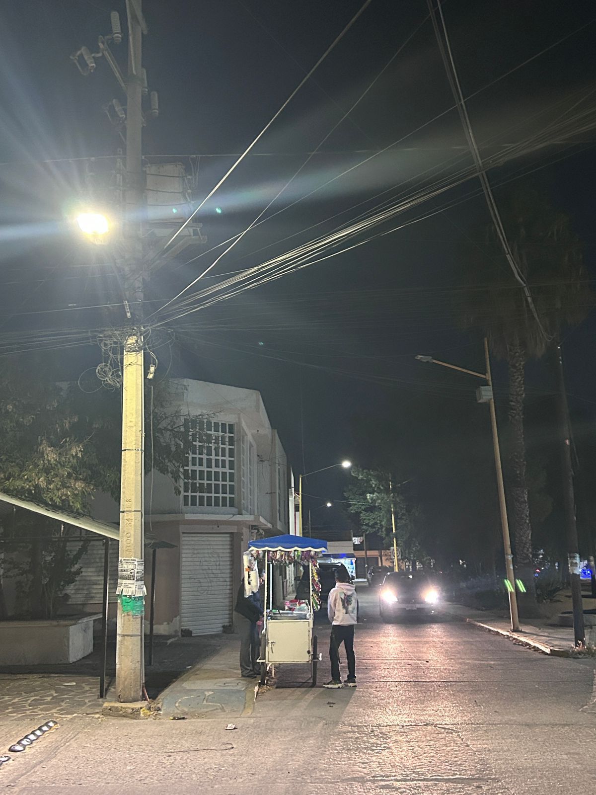 luminarias gobierno municipal slp