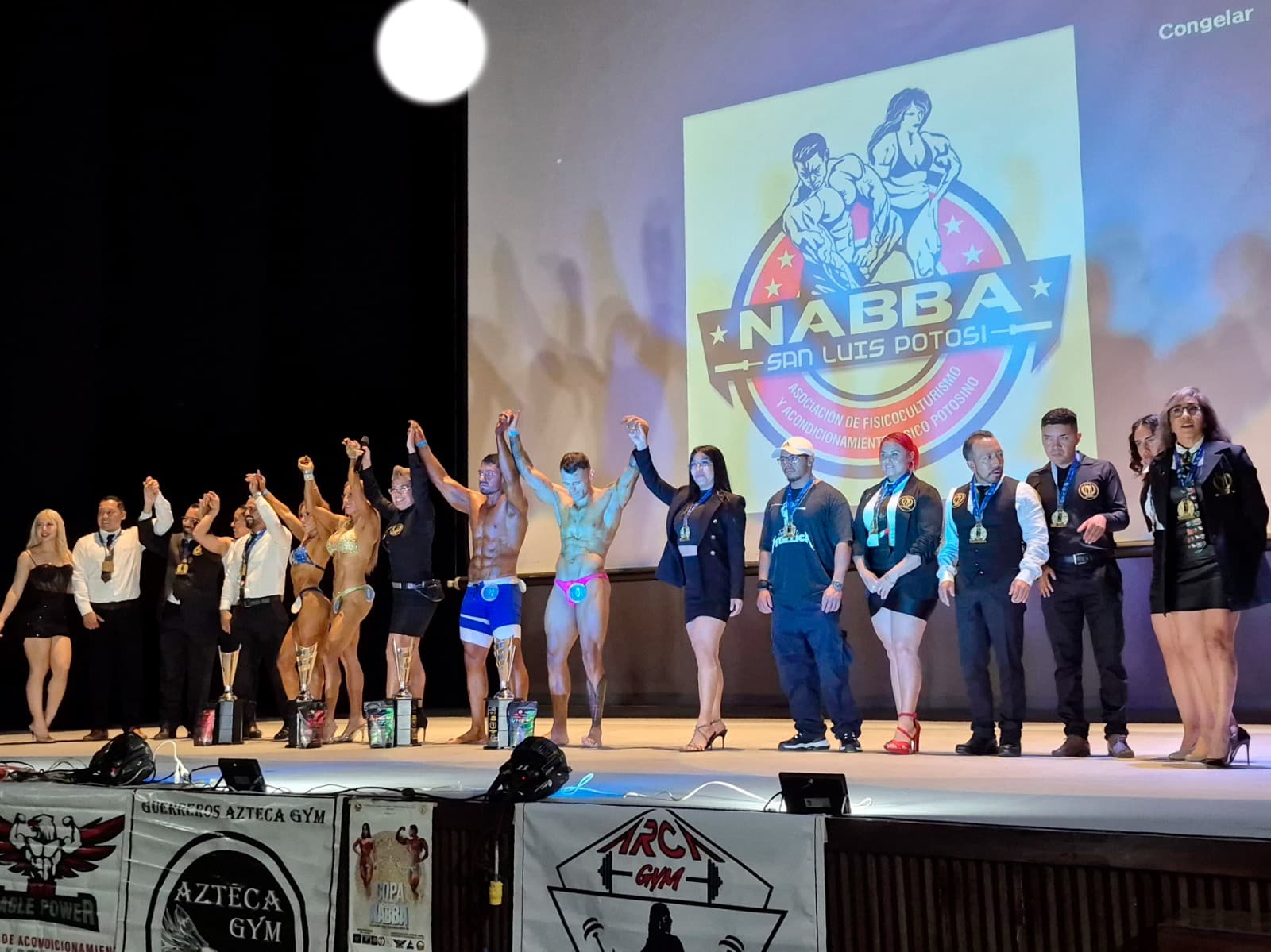 Más de 200 fisicoculturistas participaron en la VIII Copa NABBA 2025
