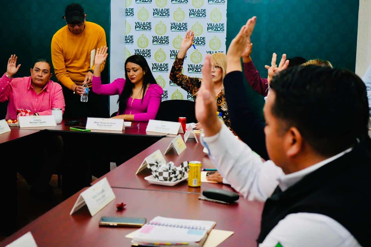 reglamento villa de pozos instancia de la mujer