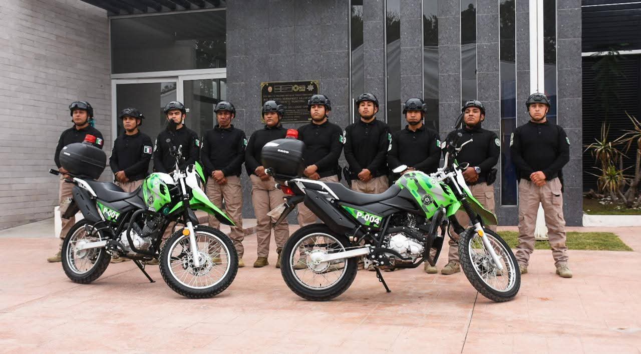 grupo panteras soledad