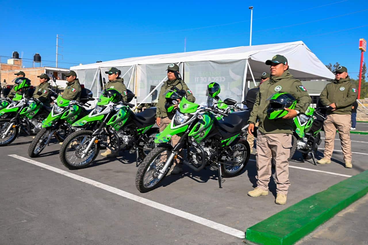 grupo panteras soledad