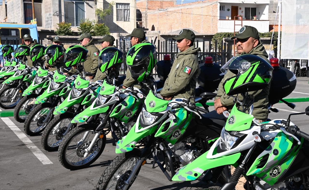grupo panteras soledad