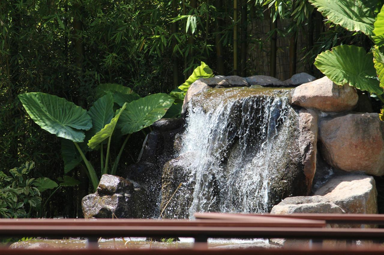 parque tangamanga paz