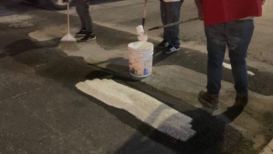pintada