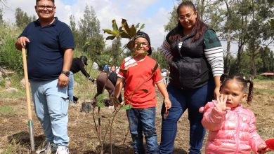 plantar árboles reforestación tangamanga 1