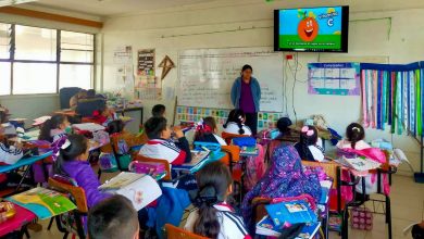platicas conciencia soledad alimentación