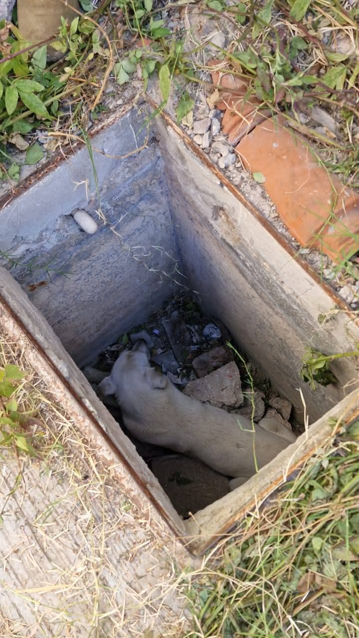 villa de pozos emergencias