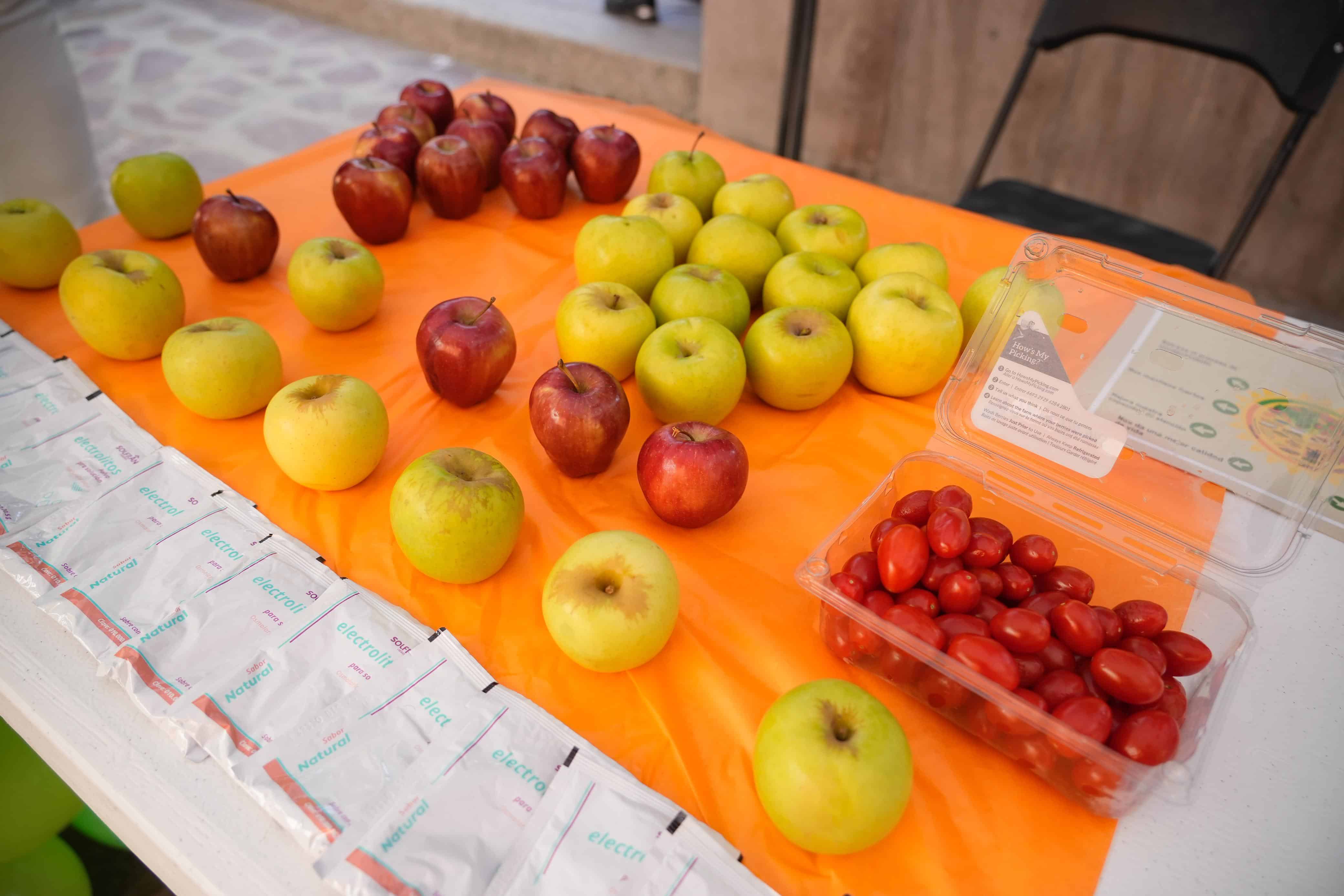 villa de pozos feria saludable|