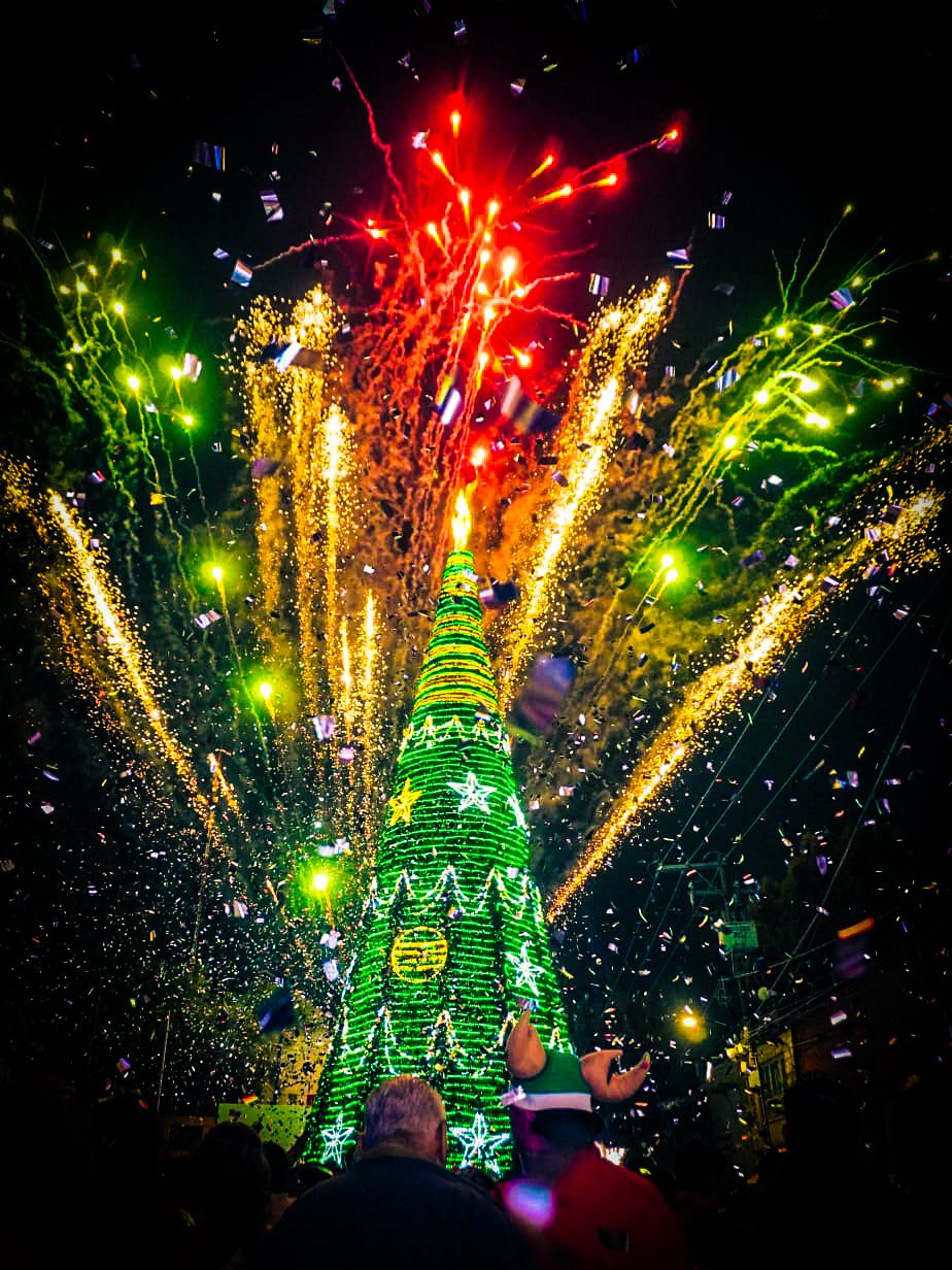 villa de pozos navidad patricia aradillas