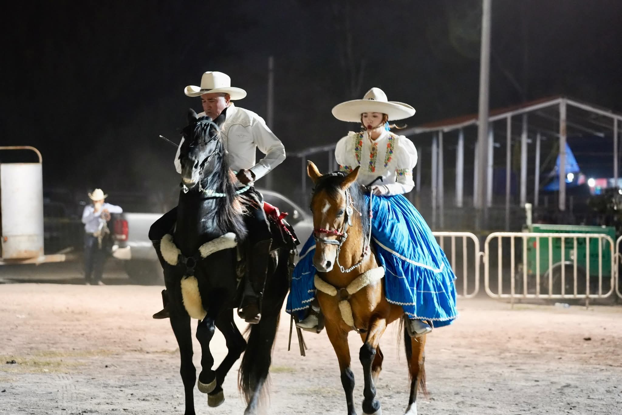 feria regional de villa de pozos