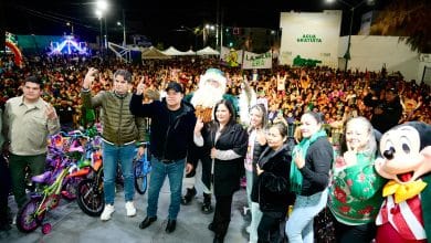 villa de pozos navidad posadas