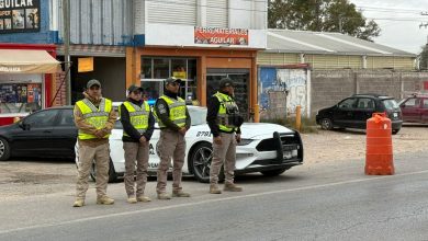 villa de pozos seguridad guardia civil estatal