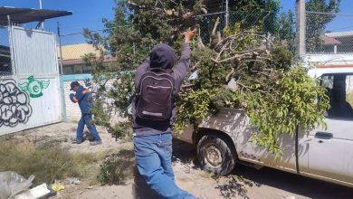 villa de pozos escuela