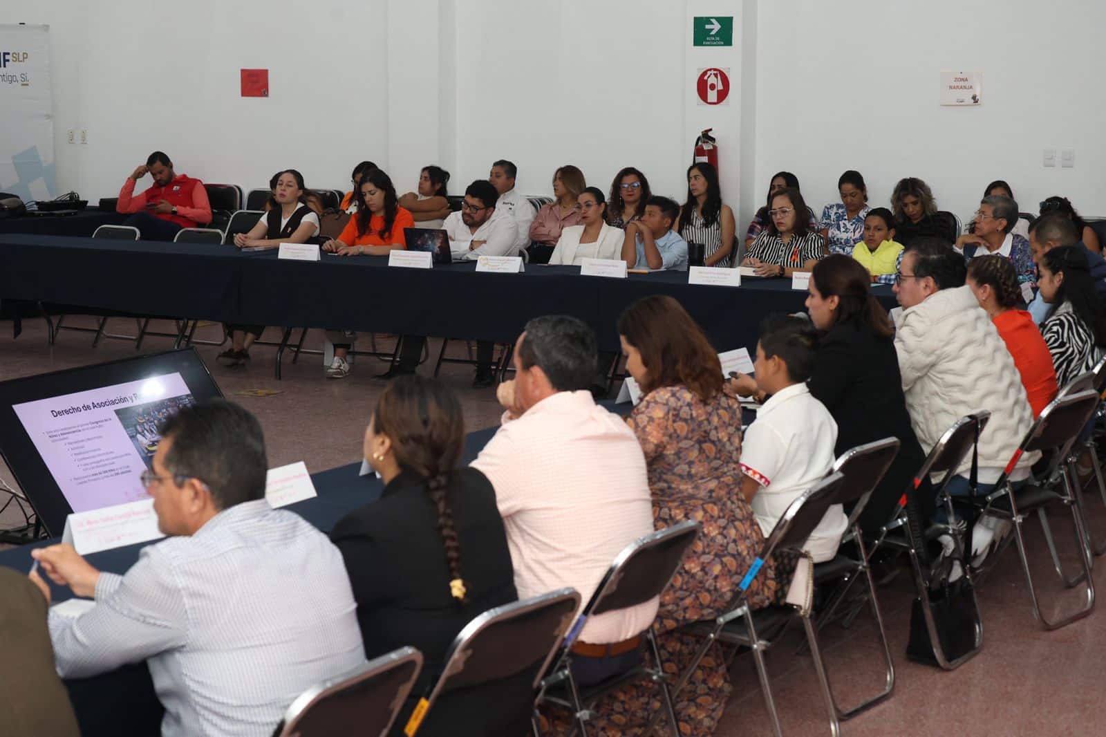ppna gobierno municipal slp