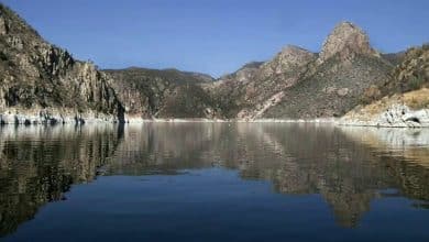 presa zimapan